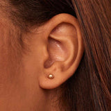 Eloura™ Mini Stud Earrings