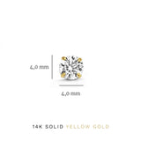 Eloura™ 14K Gold Stone Earrings Set