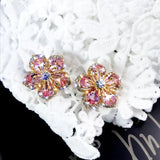 Eloura™ Multi-colour Zirconia Silver Earrings