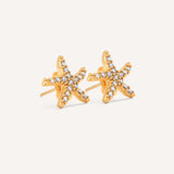 Eloura™ Star with Crystal Earrings
